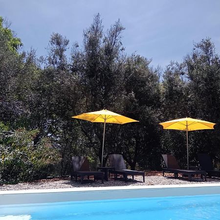 2 Pieces "Le Brin De Soleil" Gites Appart 'Hotel L'Echappee Belle D'Aubenas Logement 1 Sur 3 외부 사진