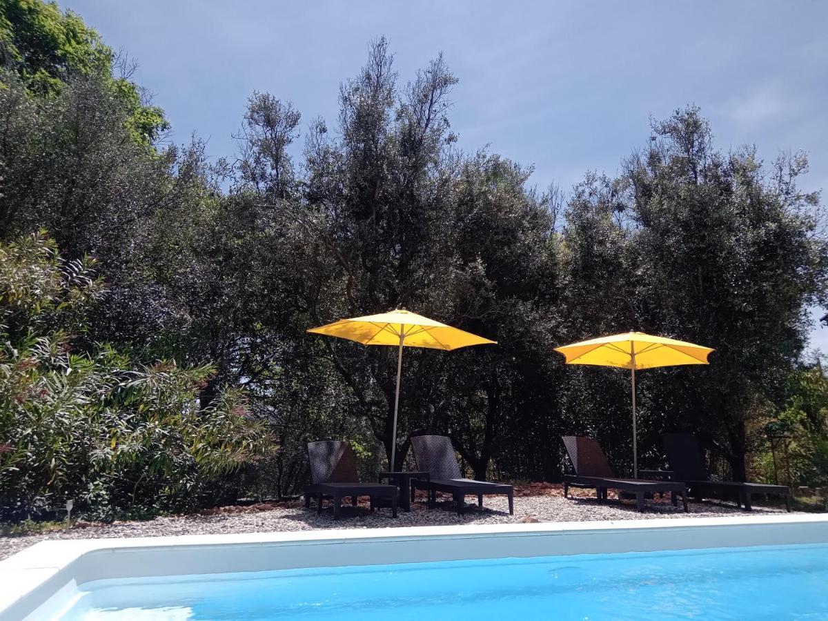 2 Pieces "Le Brin De Soleil" Gites Appart 'Hotel L'Echappee Belle D'Aubenas Logement 1 Sur 3 외부 사진